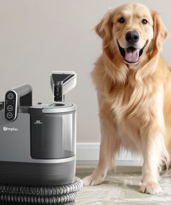 YP-TEST-ScoinGift-003