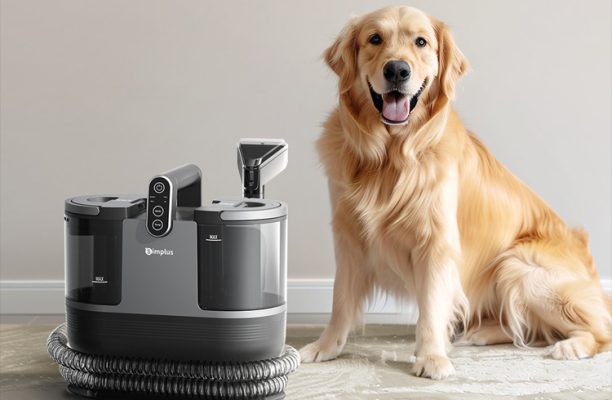 YP-TEST-ScoinGift-003